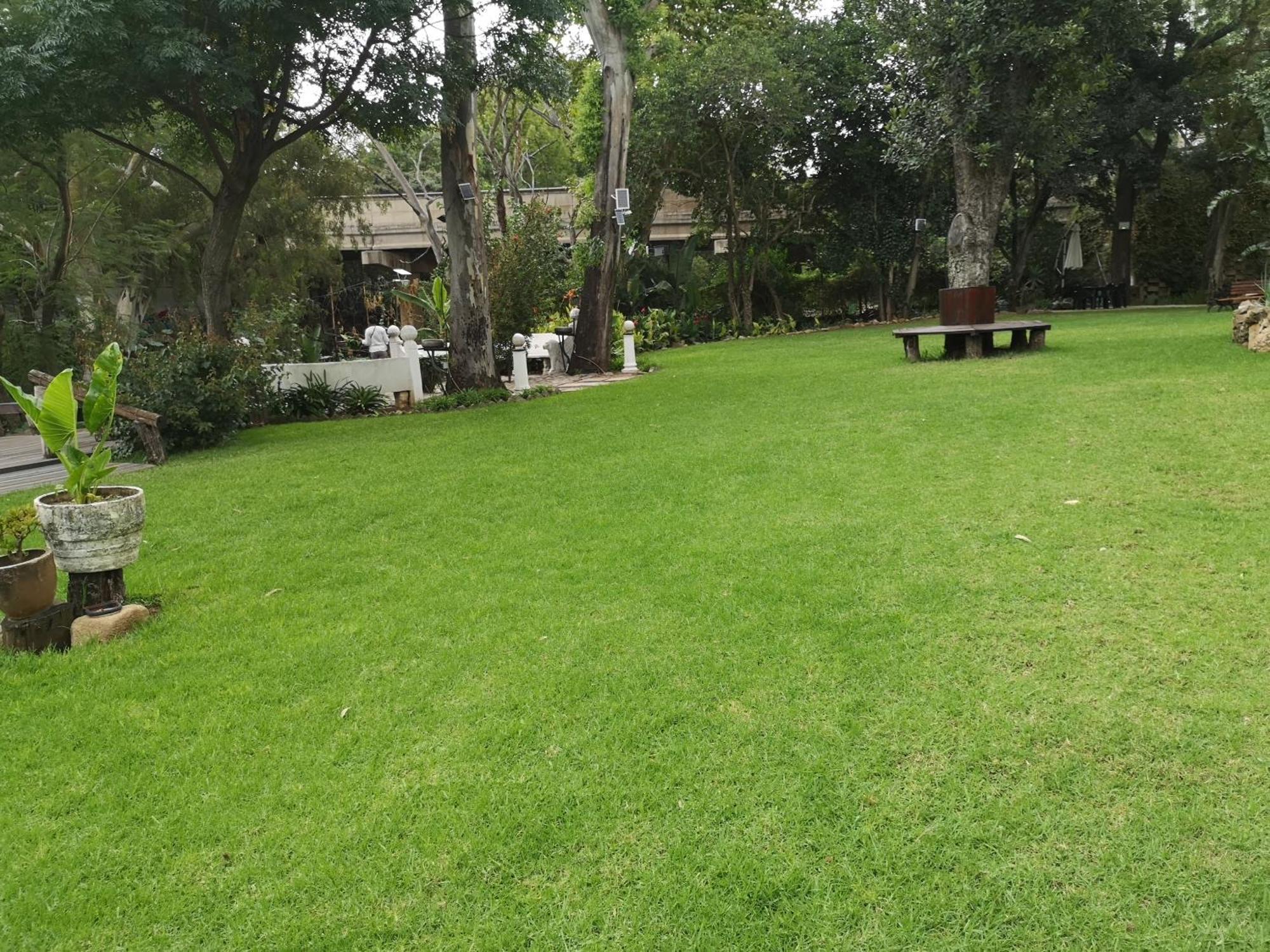 Lotus Guest House Johannesburg Exterior foto